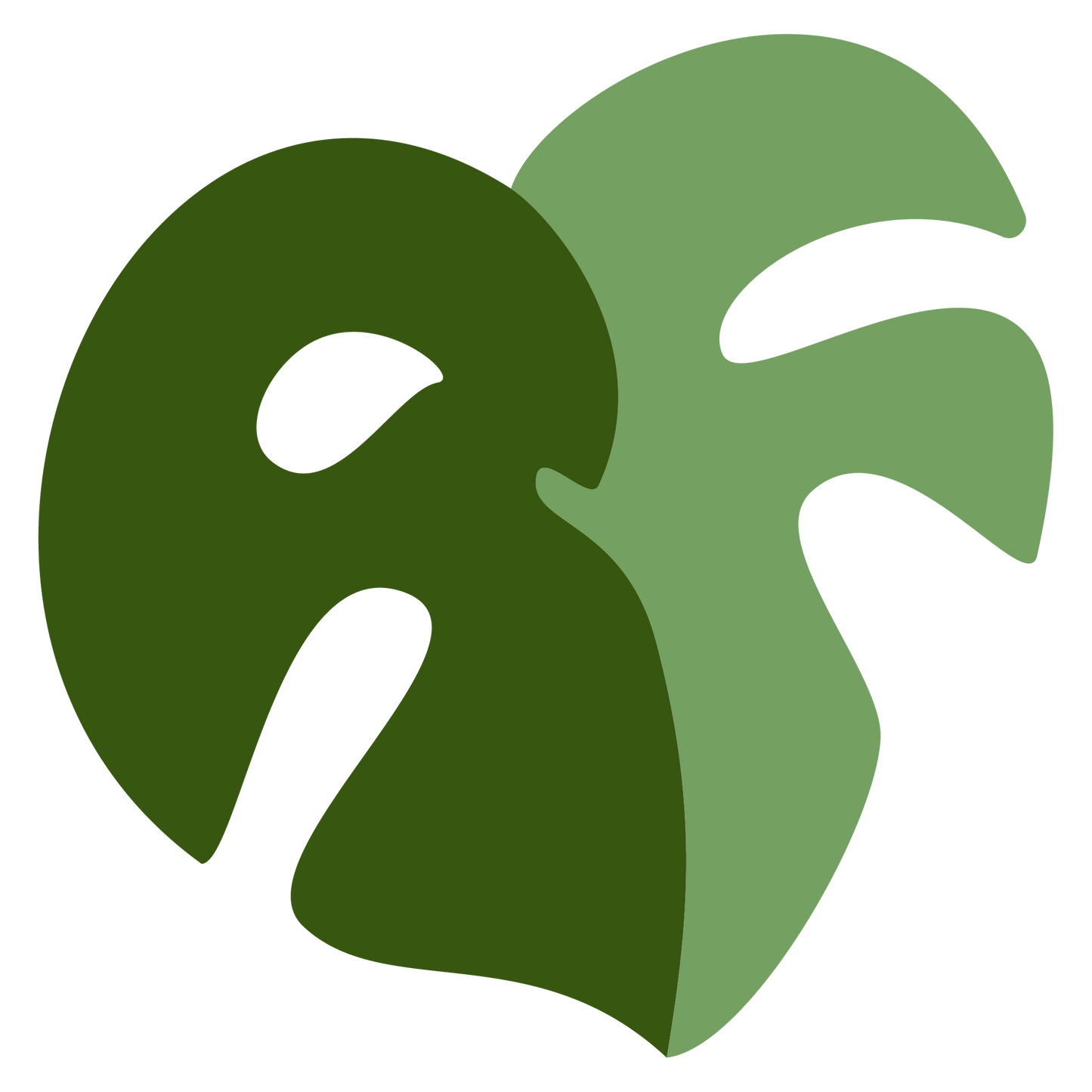 Rare Foliage Plant Co Gift Card