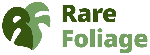 Rare Foliage Plant Co