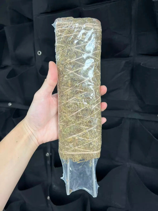 Flat Surface Sphagnum Moss Pole (Stackable) 12 inch